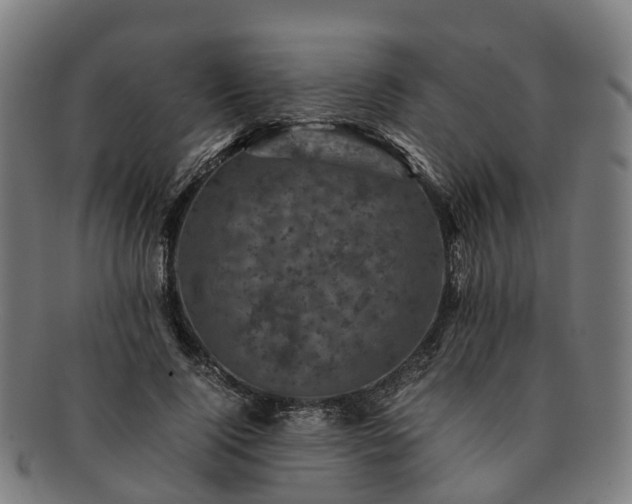 X0000091710740200708311115