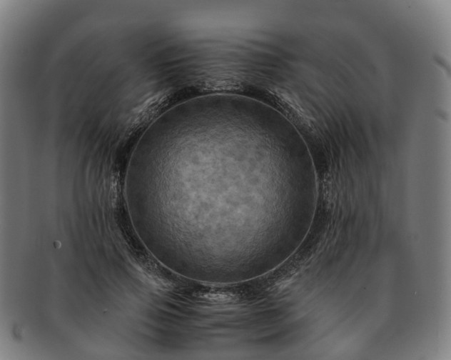 X0000091710741200708311115