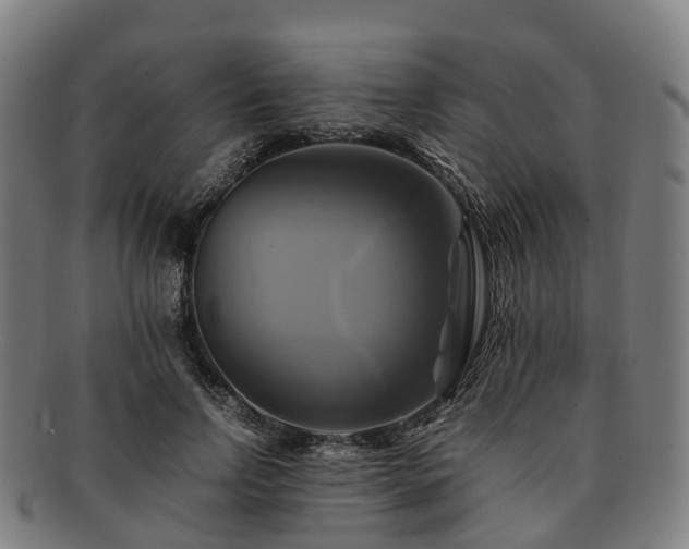 X0000091710742200708311115