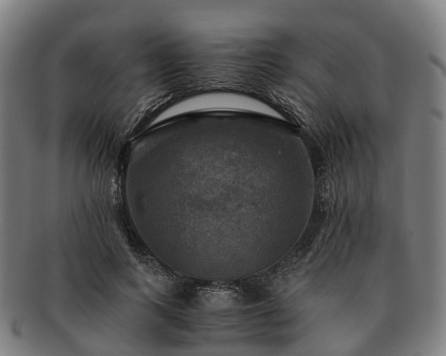 X0000091710743200708311115