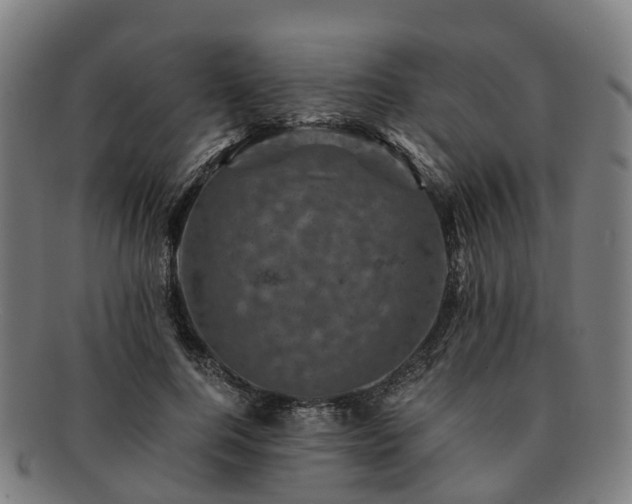 X0000091710744200708311115