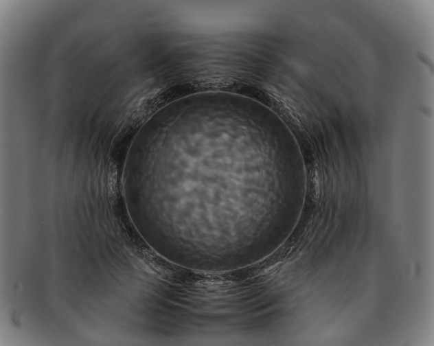 X0000091710745200708311115