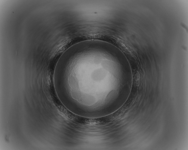 X0000091710746200708311115