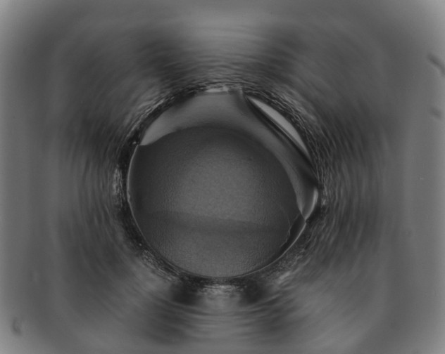 X0000091710748200708311115