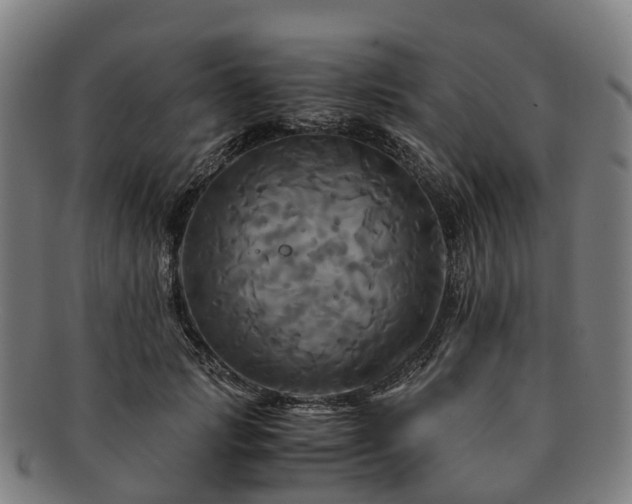 X0000091710749200708311116