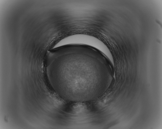 X0000091710750200708311116