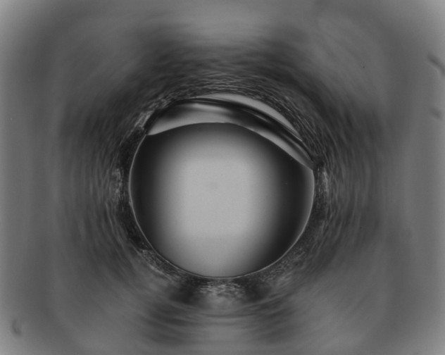 X0000091710752200708311116