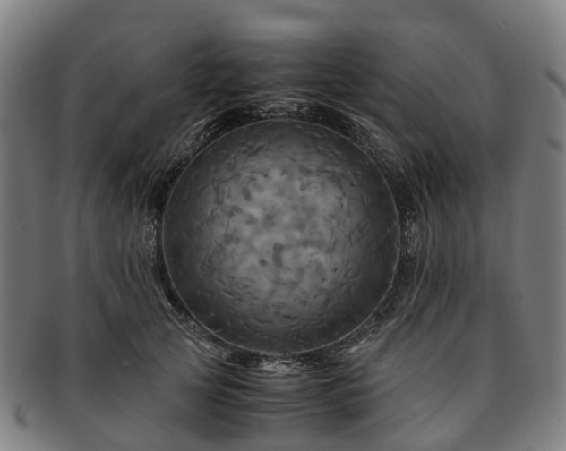 X0000091710753200708311116