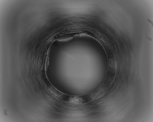 X0000091710754200708311116