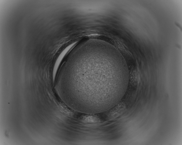 X0000091710755200708311116