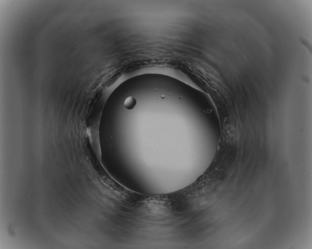 X0000091710756200708311116