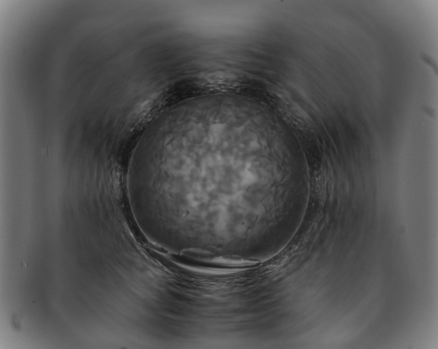 X0000091710757200708311116