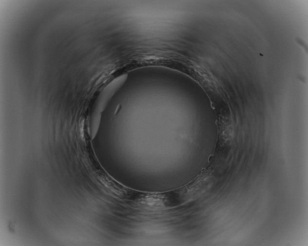 X0000091710758200708311116