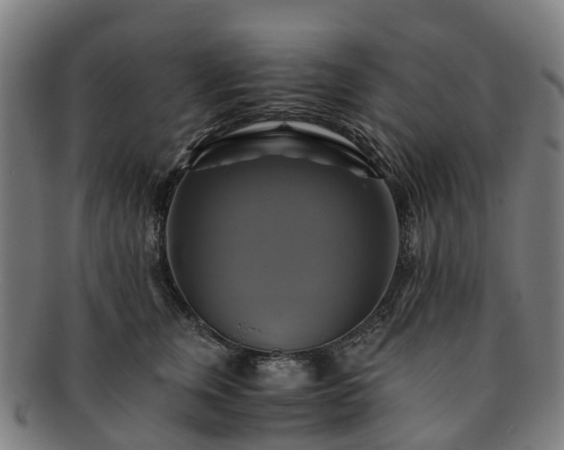 X0000091710759200708311116