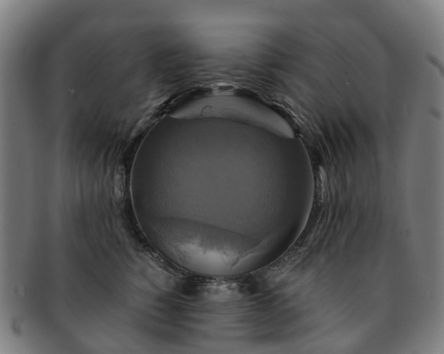 X0000091710760200708311116