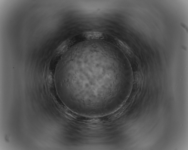 X0000091710761200708311116