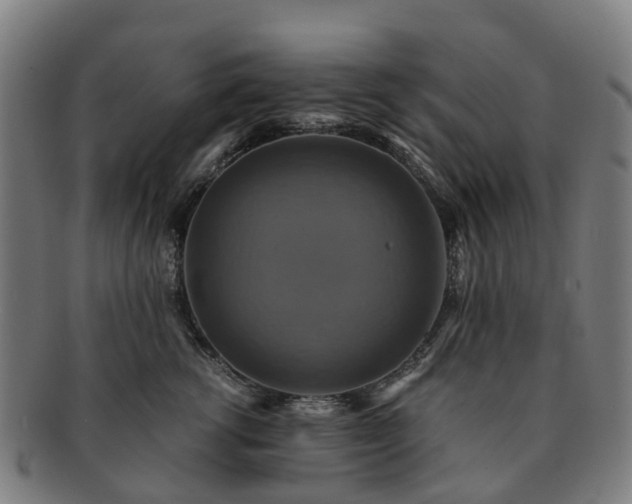 X0000091710762200708311116