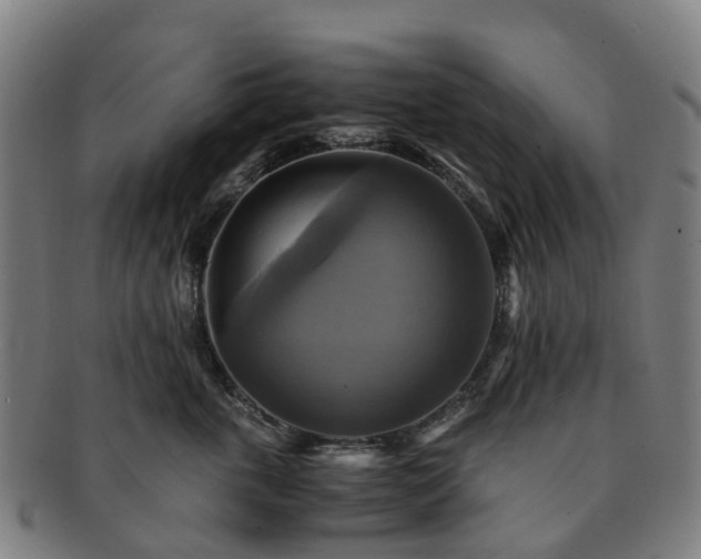 X0000091710763200708311116