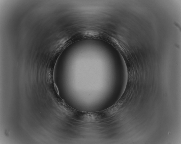 X0000091710764200708311116