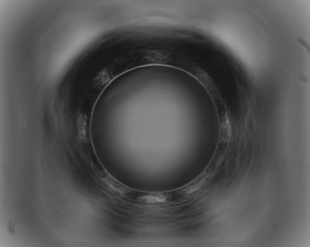 X0000091710765200708311116