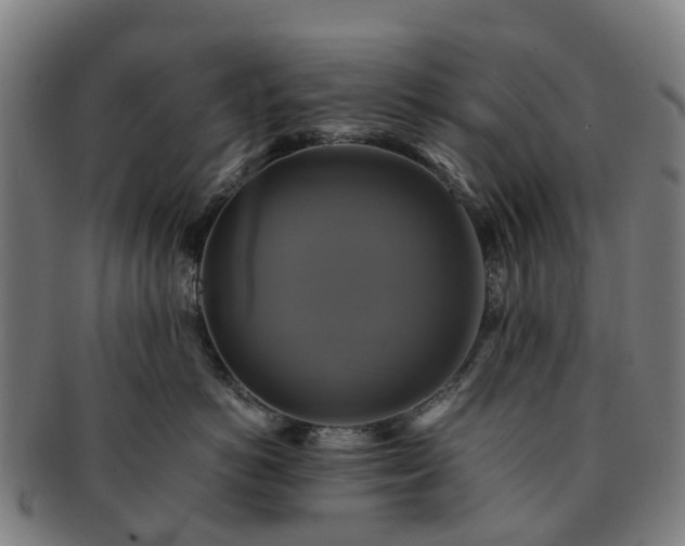 X0000091710766200708311116