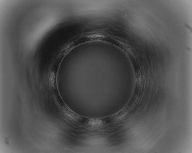 X0000091710767200708311116