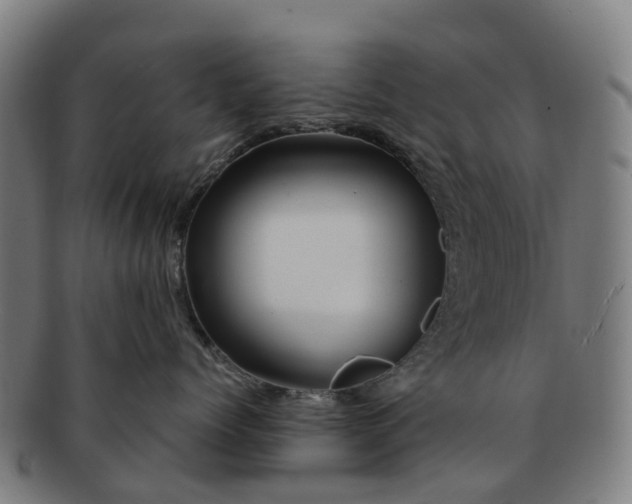 X0000091710768200708311116