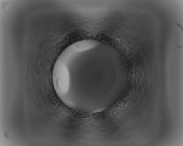 X0000091710769200708311115