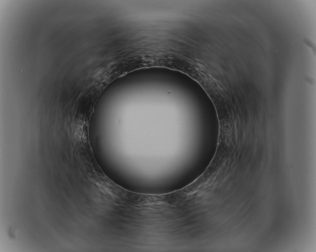 X0000091710770200708311115