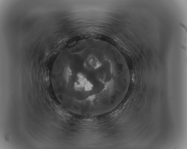 X0000091710771200708311115