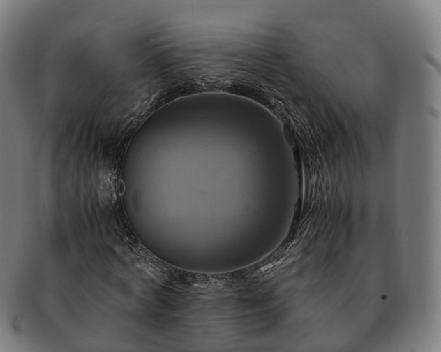 X0000091710772200708311115