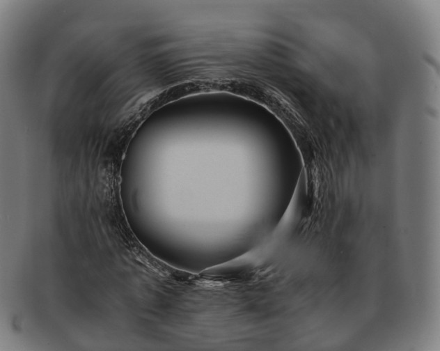 X0000091710773200708311115