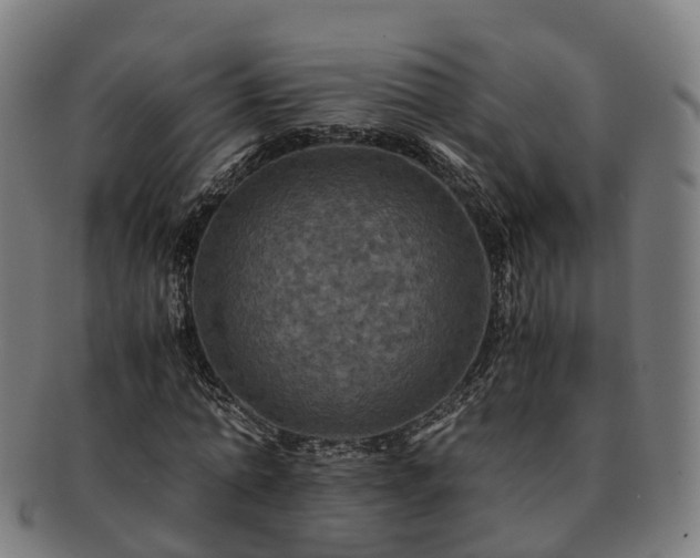 X0000091710774200708311115