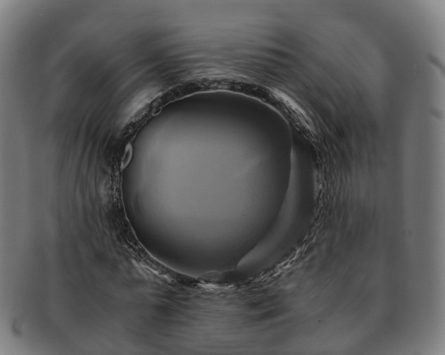 X0000091710775200708311115