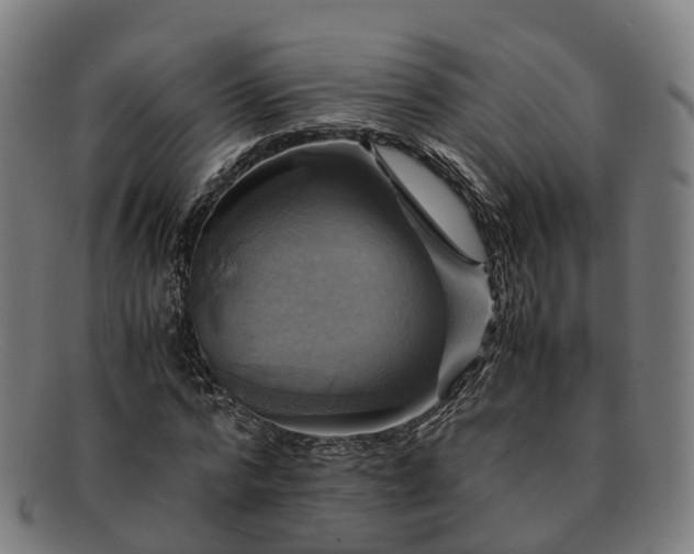 X0000091710776200708311115