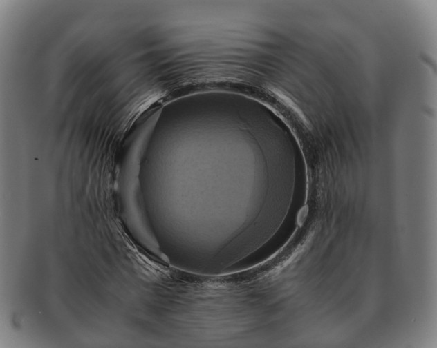 X0000091710777200708311115