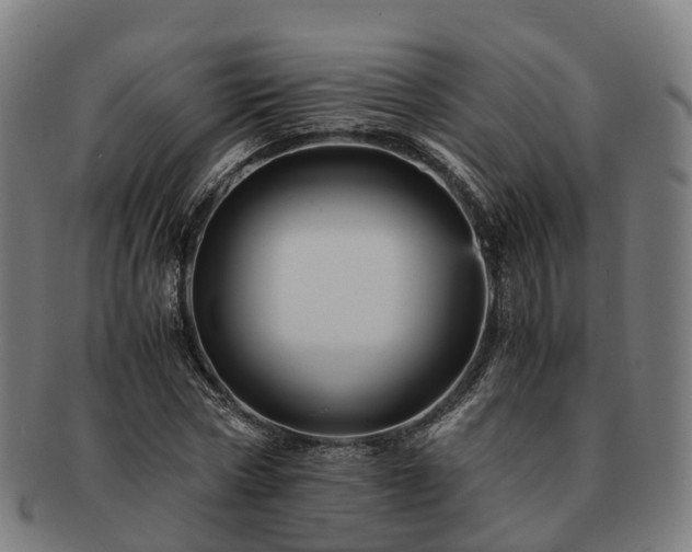 X0000091710778200708311115