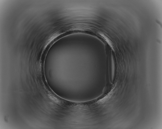 X0000091710779200708311115