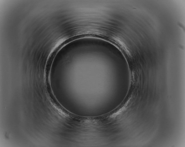 X0000091710780200708311115