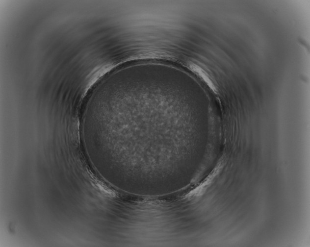 X0000091710781200708311115