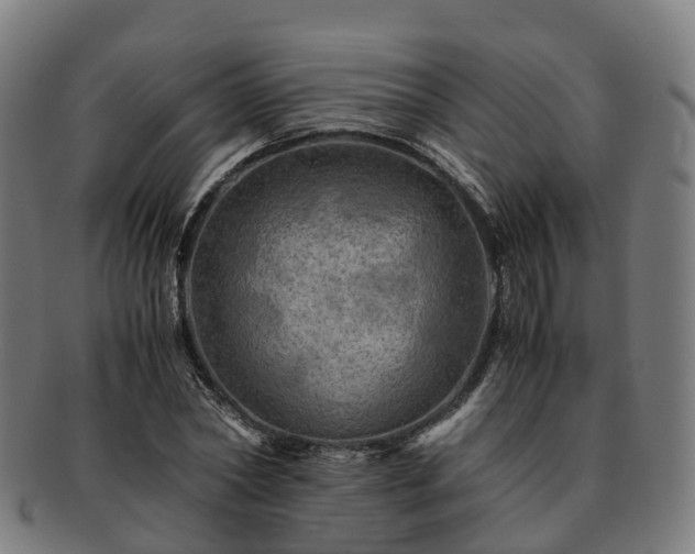 X0000091710782200708311115