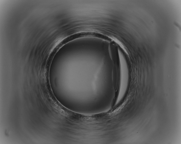 X0000091710783200708311115