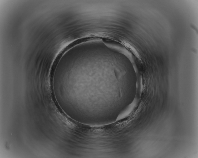 X0000091710784200708311115