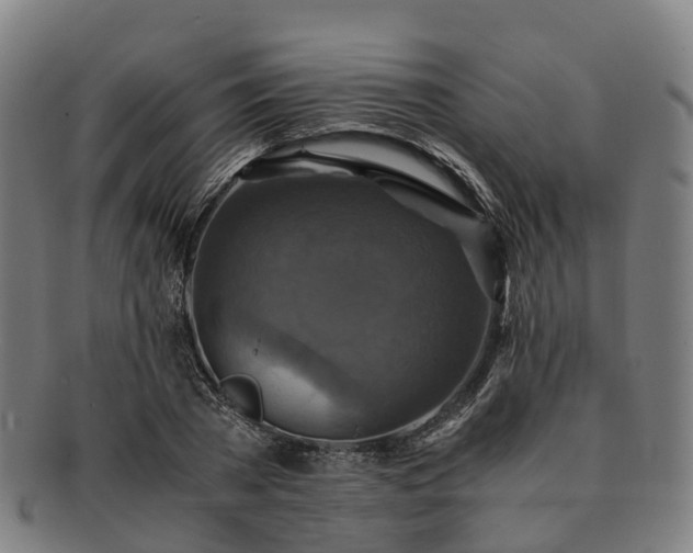 X0000091710785200708311115