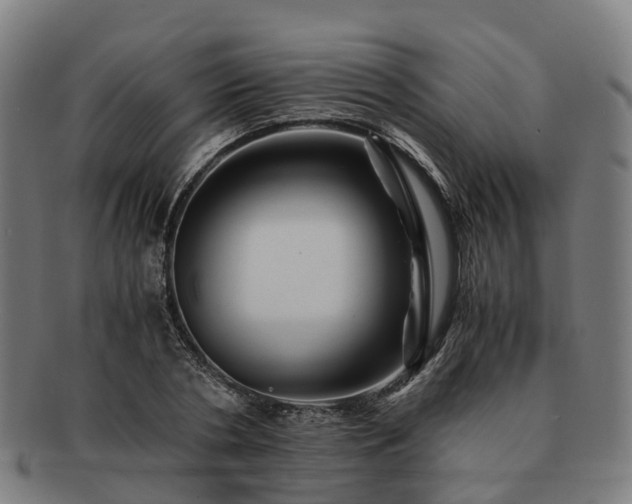 X0000091710786200708311115