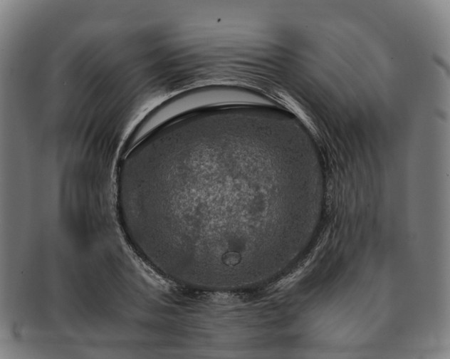 X0000091710787200708311115