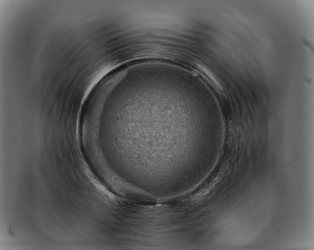 X0000091710788200708311115