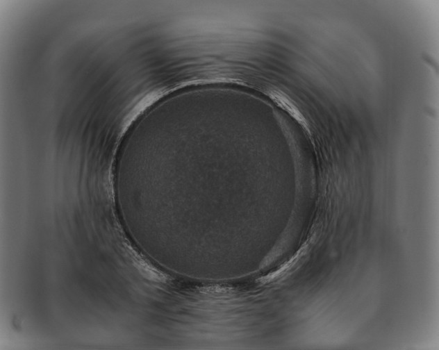 X0000091710789200708311115