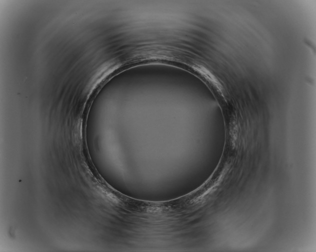 X0000091710790200708311115