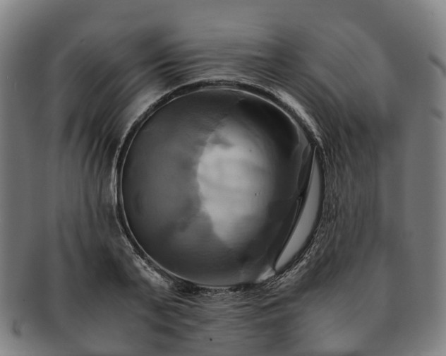 X0000091710791200708311115